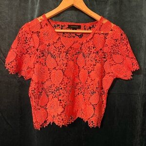 Lace Coral Blouse Top